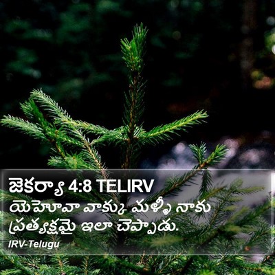 జెకర్యా 4:8 TELIRV Bible Verse Image