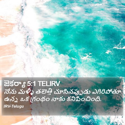 జెకర్యా 5:1 TELIRV Bible Verse Image