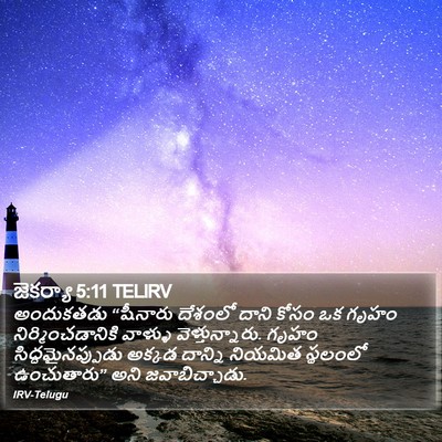 జెకర్యా 5:11 TELIRV Bible Verse Image
