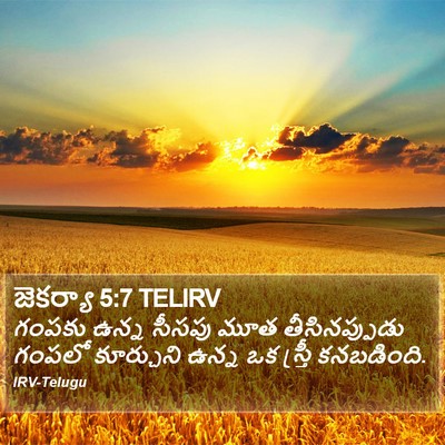 జెకర్యా 5:7 TELIRV Bible Verse Image