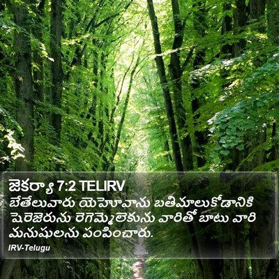 జెకర్యా 7:2 TELIRV Bible Verse Image