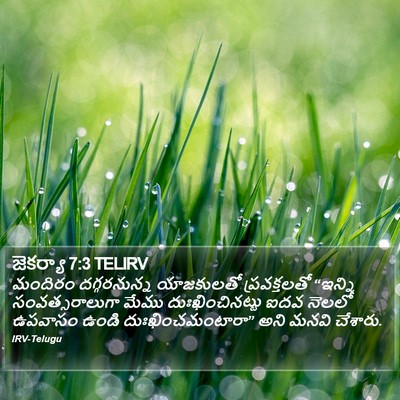 జెకర్యా 7:3 TELIRV Bible Verse Image