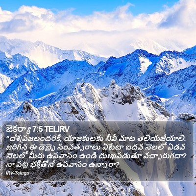 జెకర్యా 7:5 TELIRV Bible Verse Image