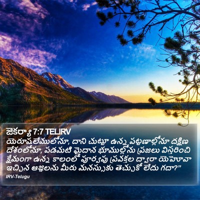 జెకర్యా 7:7 TELIRV Bible Verse Image