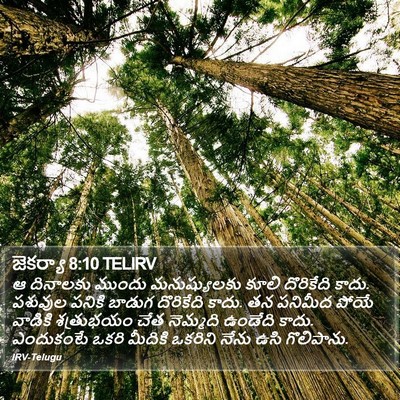 జెకర్యా 8:10 TELIRV Bible Verse Image