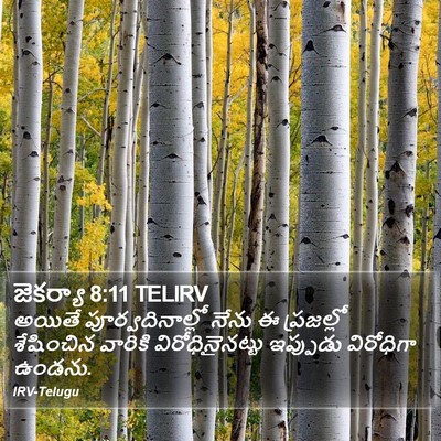 జెకర్యా 8:11 TELIRV Bible Verse Image