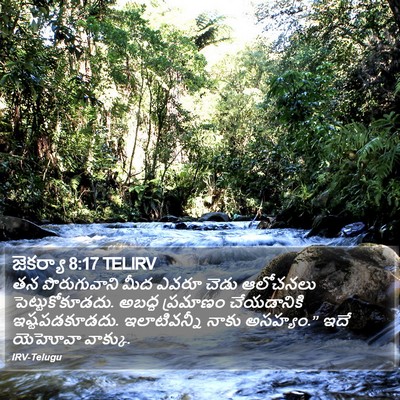 జెకర్యా 8:17 TELIRV Bible Verse Image