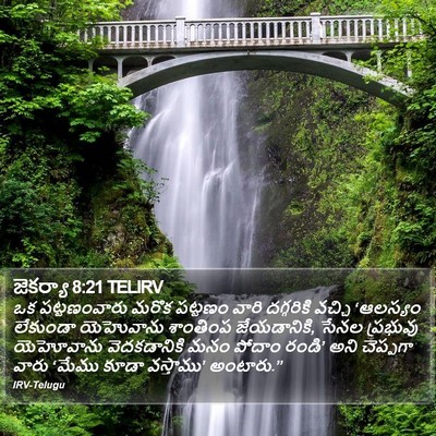 జెకర్యా 8:21 TELIRV Bible Verse Image