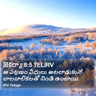 జెకర్యా 8:5 TELIRV Bible Verse Image