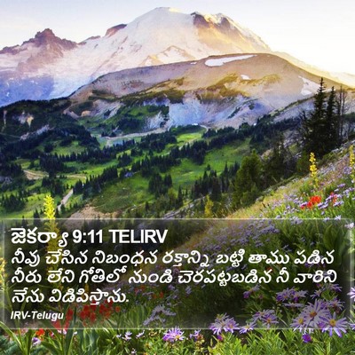 జెకర్యా 9:11 TELIRV Bible Verse Image