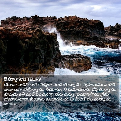 జెకర్యా 9:13 TELIRV Bible Verse Image