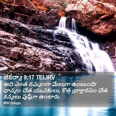జెకర్యా 9:17 TELIRV Bible Verse Image