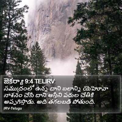 జెకర్యా 9:4 TELIRV Bible Verse Image