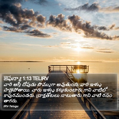 జెఫన్యా 1:13 TELIRV Bible Verse Image