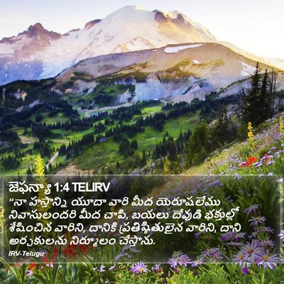 జెఫన్యా 1:4 TELIRV Bible Verse Image