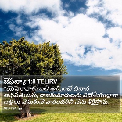 జెఫన్యా 1:8 TELIRV Bible Verse Image
