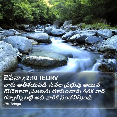 జెఫన్యా 2:10 TELIRV Bible Verse Image