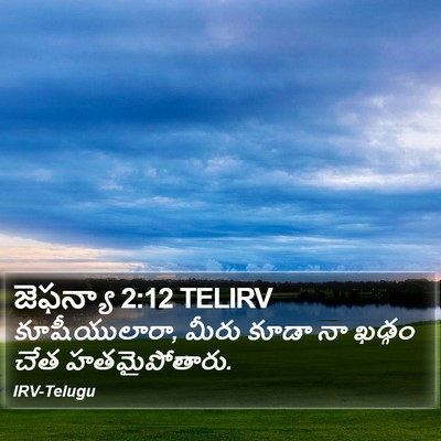 జెఫన్యా 2:12 TELIRV Bible Verse Image