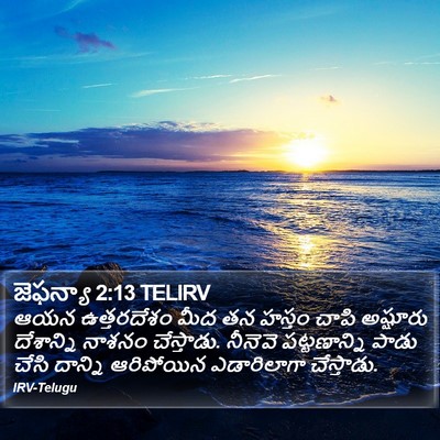 జెఫన్యా 2:13 TELIRV Bible Verse Image