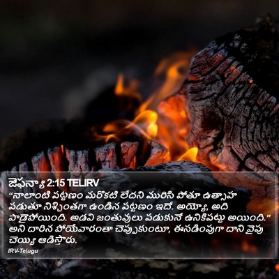 జెఫన్యా 2:15 TELIRV Bible Verse Image