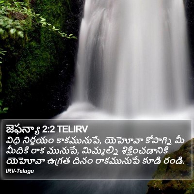 జెఫన్యా 2:2 TELIRV Bible Verse Image
