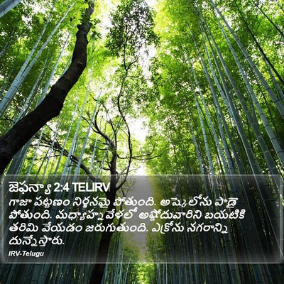 జెఫన్యా 2:4 TELIRV Bible Verse Image