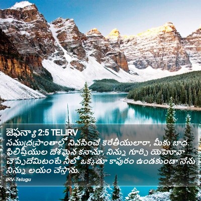 జెఫన్యా 2:5 TELIRV Bible Verse Image