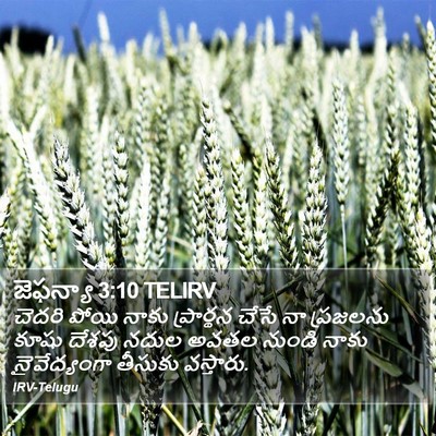 జెఫన్యా 3:10 TELIRV Bible Verse Image
