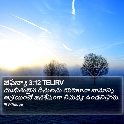 జెఫన్యా 3:12 TELIRV Bible Verse Image
