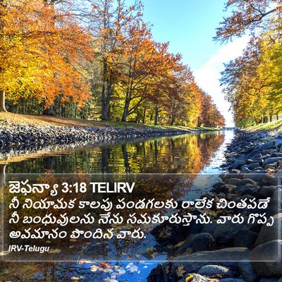 జెఫన్యా 3:18 TELIRV Bible Verse Image