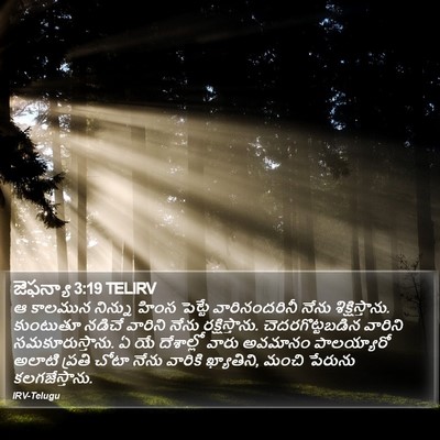 జెఫన్యా 3:19 TELIRV Bible Verse Image