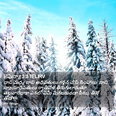 జెఫన్యా 3:3 TELIRV Bible Verse Image
