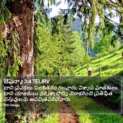 జెఫన్యా 3:4 TELIRV Bible Verse Image