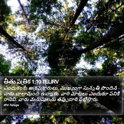 తీతు పత్రిక 1:10 TELIRV Bible Verse Image