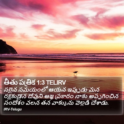 తీతు పత్రిక 1:3 TELIRV Bible Verse Image