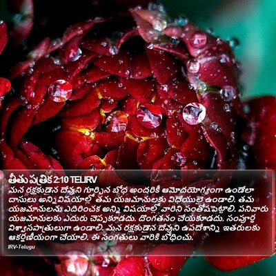 తీతు పత్రిక 2:10 TELIRV Bible Verse Image