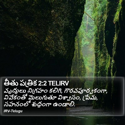 తీతు పత్రిక 2:2 TELIRV Bible Verse Image