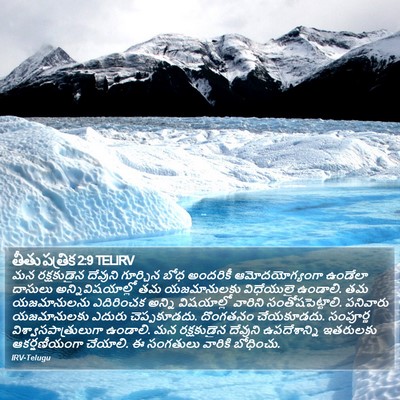తీతు పత్రిక 2:9 TELIRV Bible Verse Image