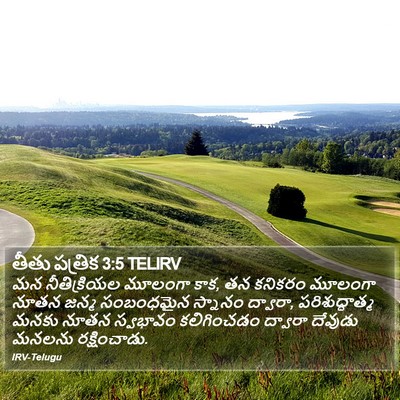 తీతు పత్రిక 3:5 TELIRV Bible Verse Image