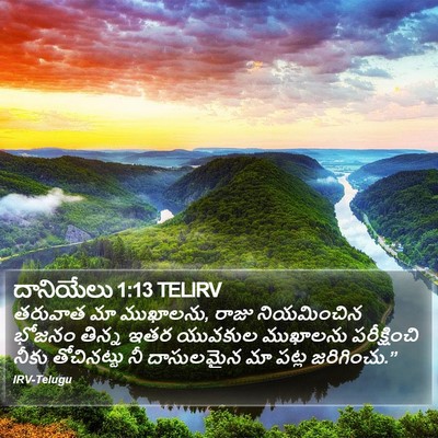 దానియేలు 1:13 TELIRV Bible Verse Image
