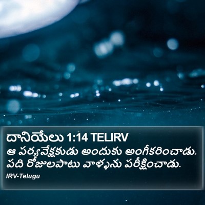 దానియేలు 1:14 TELIRV Bible Verse Image