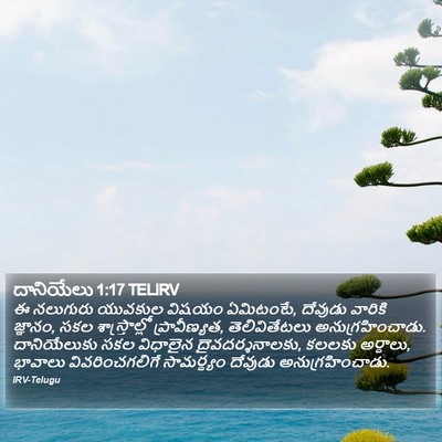 దానియేలు 1:17 TELIRV Bible Verse Image
