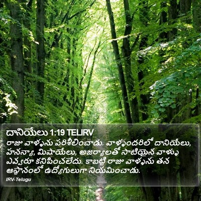 దానియేలు 1:19 TELIRV Bible Verse Image