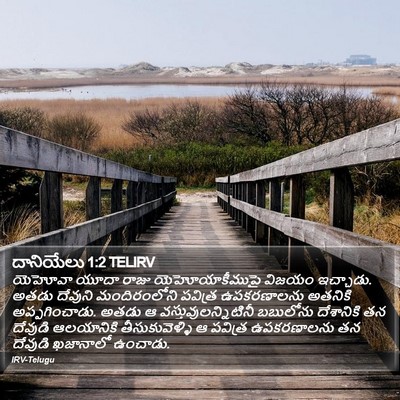 దానియేలు 1:2 TELIRV Bible Verse Image
