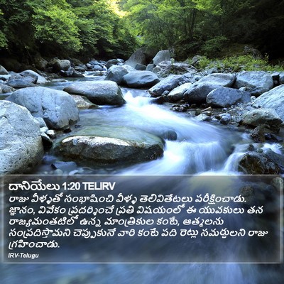 దానియేలు 1:20 TELIRV Bible Verse Image