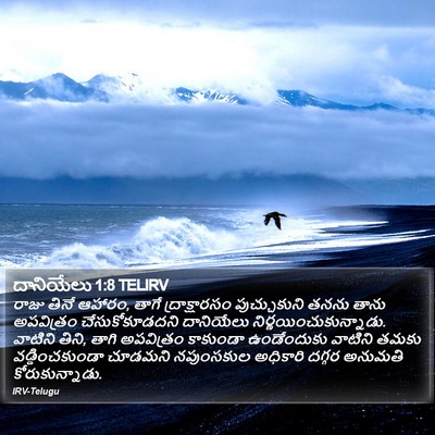 దానియేలు 1:8 TELIRV Bible Verse Image