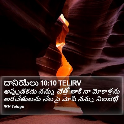 దానియేలు 10:10 TELIRV Bible Verse Image