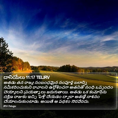 దానియేలు 11:17 TELIRV Bible Verse Image