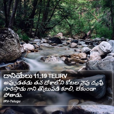 దానియేలు 11:19 TELIRV Bible Verse Image