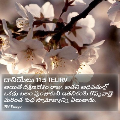 దానియేలు 11:5 TELIRV Bible Verse Image